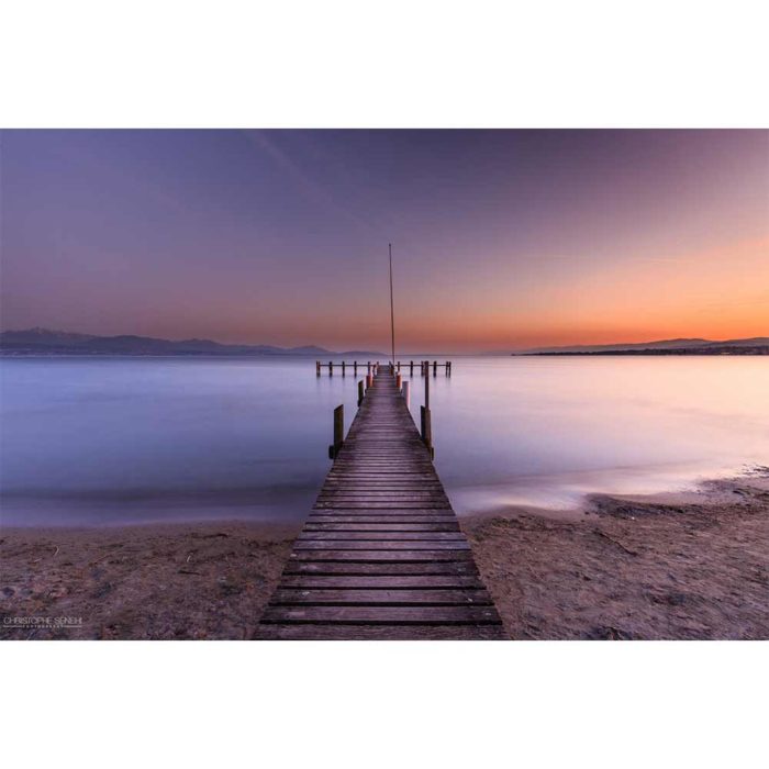 The Bridge #1